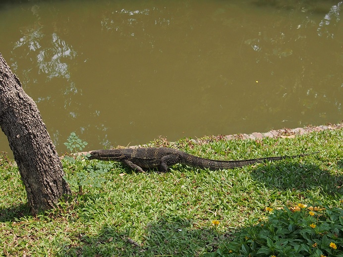 VARAN JARDIN BANGKOK 